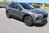 Used 2024 Ford Escape SE w/ Class II Trailer Tow Package image 4