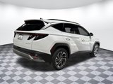 New 2025 Hyundai Tucson Limited image 3