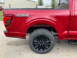 New 2025 Ford F150 XLT image 3