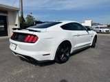 Used 2016 Ford Mustang GT Premium w/ Equipment Group 401A image 3