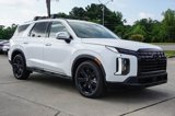 New 2025 Hyundai Palisade XRT image 2
