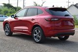 Certified 2024 Ford Escape ST-Line Select w/ Tech Pack #1 image 6