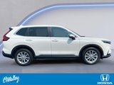 Certified 2024 Honda CR-V EX-L image 6