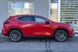 New 2025 Lexus NX 350h AWD w/ Premium Package image 3