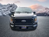Certified 2023 Ford F150 XLT w/ Equipment Group 302A High image 4