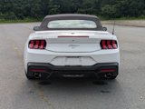 Certified 2024 Ford Mustang Premium image 4