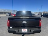 New 2025 Ford F150 STX image 4