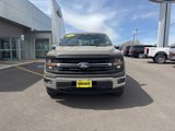 New 2025 Ford F150 XLT image 2