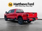 New 2025 Ford F250 XL image 3
