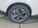 New 2025 Nissan Murano SL image 4