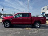 New 2025 Ford F150 XLT image 5