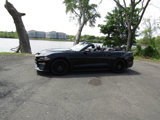 Used 2023 Ford Mustang GT image 3