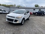 Used 2014 Ford Escape SE w/ Equipment Group 201A image 3