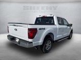 Certified 2024 Ford F150 XLT w/ Equipment Group 302A MID image 4