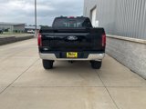 New 2025 Ford F150 Lariat image 5