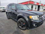 Used 2011 Ford Escape XLT w/ 202A Rapid Spec Order Code image 4
