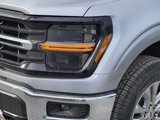 New 2025 Ford F150 XLT w/ Equipment Group 302A MID image 4