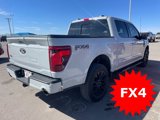 Used 2024 Ford F150 XLT w/ Equipment Group 303A High image 4