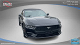 Used 2024 Ford Mustang Premium image 3