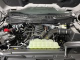 New 2025 Ford F150 XLT image 3