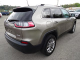 Used 2019 Jeep Cherokee Latitude Plus w/ Cold Weather Group image 6