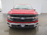 New 2025 Ford F150 XLT image 3