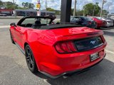Used 2019 Ford Mustang Premium image 6