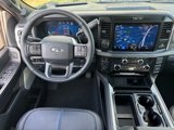 New 2025 Ford F250 Platinum image 4
