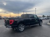 Used 2023 Ford F150 XLT w/ Equipment Group 302A High image 3