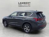 Used 2023 Hyundai Santa Fe SEL w/ Cargo Package image 3