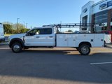 New 2025 Ford F450 XL w/ XL Chrome Package image 6