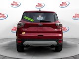 Used 2017 Ford Escape SE image 5