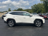 Used 2023 Hyundai Tucson Limited image 2
