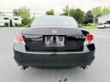 Used 2010 Honda Accord EX-L image 5