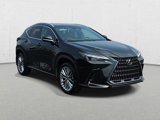 Certified 2025 Lexus NX 350h AWD w/ Cold Area Package image 3