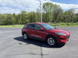 Used 2020 Ford Escape SE image 5