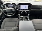 Used 2024 Ford F150 XLT w/ Equipment Group 302A MID image 4