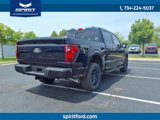 New 2025 Ford F150 XLT w/ Equipment Group 302A MID image 5