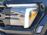 New 2025 Ford F150 Raptor image 4
