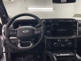 New 2025 Ford F250 Platinum image 4