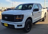 New 2025 Ford F150 STX w/ STX Black Appearance Package image 4