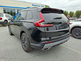 New 2026 Honda CR-V TrailSport image 3