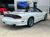 Used 1999 Pontiac Firebird Trans Am image 5