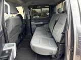 Used 2024 Ford F150 XLT image 4