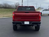 New 2025 Chevrolet Silverado 1500 LT Trail Boss w/ Convenience Package II image 4