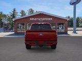 New 2025 Ford F150 XLT w/ Equipment Group 303A High image 5