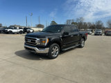 Used 2021 Ford F150 XLT w/ Equipment Group 302A High image 2