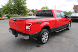 Used 2019 Ford F150 XLT w/ Equipment Group 302A Luxury image 5