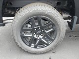 New 2025 Chevrolet Silverado 1500 Custom Trail Boss w/ Turbomax Blackout Package image 5