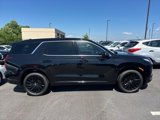 New 2025 Hyundai Palisade Calligraphy image 2